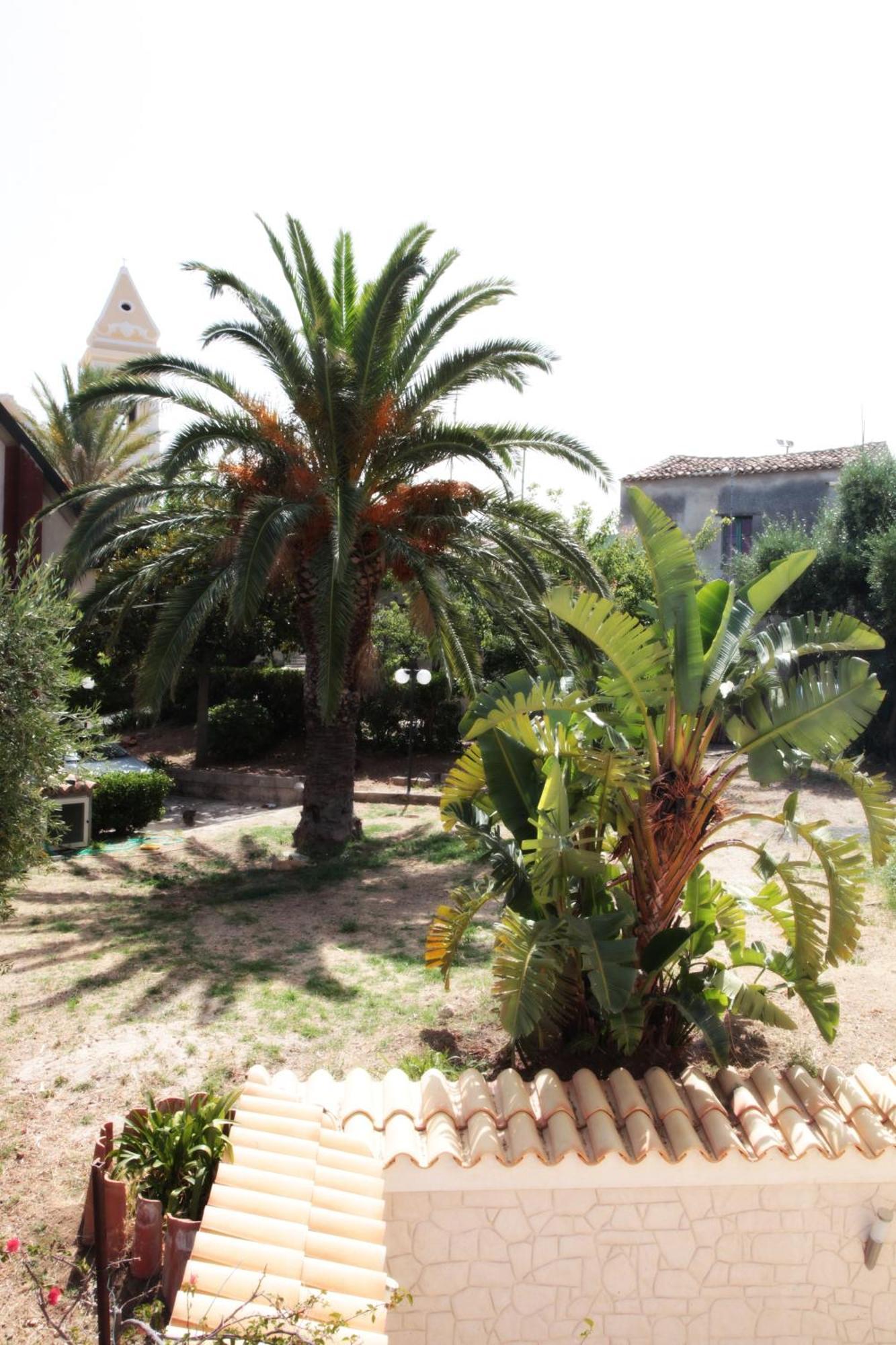 Bed And Breakfast Casagalez Santa Domenica  Exteriör bild